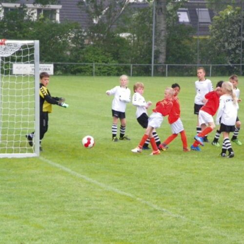 Pupillen voetbaldoel JVD145 11 Voetbaldoel model JVD145. Pupillen voetbaldoelen die absoluut jarenlang mee gaan.